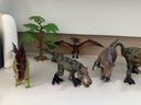巴美卡大号实心恐龙收藏模型套装玩具仿真世界侏罗纪动物礼物 特大套装2 实拍图