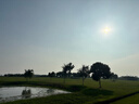 网易严选浴室香氛香薰空气清新剂车载香薰香水室内香氛厕所除臭剂4瓶装 实拍图