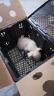 麦基乐 中华田园犬家养幼犬土狗小狗大黄狗纯黑小白狗体活体种狗 田园级 白色田园犬 公母备注 实拍图