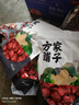 方家铺子中华老字号 新疆灰枣500g 1斤红枣果干新疆特产 泡茶煲汤煮粥零食 实拍图