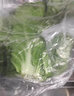 鹿凌青白菜叶饭包东北大白菜叶子新鲜蘸酱蔬菜大饭包打饭包菜叶发顺丰 20片白菜叶无酱【发顺丰】 实拍图