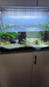西游水族鱼缸水族箱客厅小型迷你桌面免换水生态造景小金鱼缸热弯超白玻璃 长60*宽30*高35-云影群峰款造景全套 实拍图