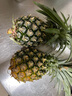 广东湛江徐闻香水菠萝 湛江大凤梨  生鲜时令水果礼盒 9斤整箱 3斤中果(2-3个)单果500g+ 无工具 实拍图