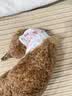 Dono宠物狗狗生理裤泰迪狗狗尿不湿一次性月经姨妈卫生巾公母狗纸尿裤 母狗XS 18片装(建议4-6斤) 单包装【2件9折 3件8折 8件7折】 实拍图