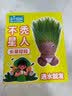 IAM City Farmer草头娃娃浇水就长可爱迷你植物盆栽幼儿园礼物配陶瓷底托10113 实拍图