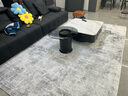 布迪思奶油风地毯客厅卧室防水免洗可擦沙发仿羊绒家用轻奢高级感加厚毯 墨韵01【防水加厚仿羊绒】 200cm*300cm 【客厅百搭尺寸】 实拍图