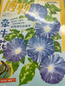 博物 2024年8月号 主题：牵牛花 “喇叭花”大盘点 中国国家地理青春少年版 博物君探索自然奥秘 实拍图