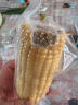 玉米10根一等甜糯玉米棒新鲜速冻甜白糯玉米棒粘黏苞米2.5kg 2.5kg 10根 晒单实拍图