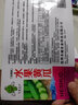 播种心情 家庭种植蔬菜种子孑籽大全四季播种阳台盆栽农家庭院小菜园有机 四号黄瓜种子2包 实拍图