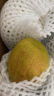 京鲜生新疆特级库尔勒香梨2kg 单果120g起 新鲜生鲜水果礼盒装 健康轻食 实拍图