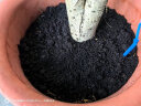 史丹利营养土养花通用型专用育苗进口整包土壤种植土花土 实拍图