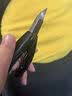甲沟专用指甲刀 指甲剪鹰嘴指甲钳修脚刀套装指甲刀指甲锉剃甲器甲沟勺脚趾甲 送朋友长辈礼物 鹰嘴指甲钳-黑色 实拍图