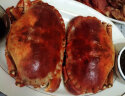 京鲜港 面包蟹 鲜活熟冻超大 英国进口满黄大螃蟹 只只母蟹 特大只 600-800g/只 晒单实拍图