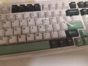 VGN S99 三模连接 蓝牙/无线 客制化键盘 机械键盘 游戏电竞 办公 单键开槽 全键热插拔 gasket结构 S99 阿尼亚轴 斑斓绿 实拍图