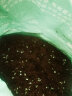 幸悦营养土养花土种菜绿萝多肉肥料通用型盆栽花卉有机种植土壤 通用土15升 实拍图