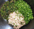 上鲜 香草鸡胸 0.98kg/8片 冷冻 电烤健身鸡胸肉轻食代餐 清真食品 实拍图