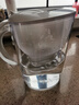 碧然德（BRITA） 家用滤水壶 净水壶滤芯 Maxtra 多效滤芯 1枚装 实拍图