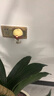 BABEGIM电蚊香液家用无香驱蚊液驱蚊器防蚊灭蚊液4瓶2器 实拍图