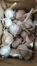 静益乐源山东紫皮蒜大蒜干大蒜蔬菜批发干蒜自种大蒜种子多瓣蒜当季蔬菜 【中果精品大蒜】2斤 精选今年大蒜 实拍图