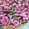 爱满（AIMAN） 鲜花真花天然满天星花束真花客厅家居装饰店面摆设小清新风花束 粉色满天星 含报纸+丝带 实拍图