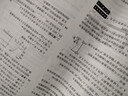 2026初中上分卷 物理八年级上册 人教版 单元期中期末检测卷 必刷题理想树图书 实拍图