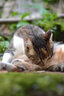 尼康（Nikon） AF 尼克尔 50mm f/1.8D 全画幅标准定焦镜头单反相机适用 尼康F卡口 52mm 实拍图