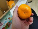 京鲜生 无核蜜桔 精选2斤装橘子/桔子  单果80g+ 生鲜水果 实拍图