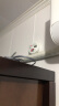 岡祈(Gangqi) 家用一氧化碳报警器 燃气报警器 烧煤炭蜂窝煤气烟雾报警器CO探测感应 电池款 实拍图