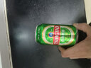 青岛啤酒（TsingTao）经典550ml*18听+精酿白啤500ml*3听 春日出游 实拍图