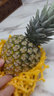 沃鲜谷【顺丰】芒果凤梨 树上熟 非金钻凤梨菠萝  香甜多汁 新鲜水果 8-9斤 大果4个 实拍图