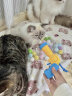 派乐特猫玩具球毛绒球发射枪自嗨解闷逗猫棒宠物猫玩器具猫咪用品 实拍图