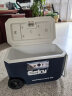 爱斯基（ESKY）户外保温箱冷藏车载海鲜家用烧烤食品保冷母乳保鲜箱外卖摆摊冰桶 (滑轮-38L加厚提手)+2冰板10冰袋 晒单实拍图