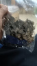 山东白背黑木耳干货特产精选头茬木耳山珍干货火锅凉拌食材批发 精品木耳【净重100g】 精选【二茬】毛木耳 实拍图