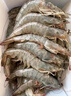 卖鱼郎先生青岛盐冻大虾净重3斤 15-20只/斤 白虾大虾基围虾生鲜 虾类 实拍图