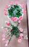 【洋桔梗】无刺玫瑰鲜花云南直发鲜花混搭花束七夕情人节520礼物 粉色洋桔梗20-25个花苞 实拍图