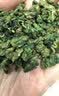 宝椿堂桑叶茶新鲜霜后桑叶花草养生茶霜打干桑树叶桑葚叶 250g*2罐 实拍图