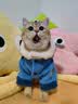 迪士尼朱迪猫狗通用秋冬款小狗泰迪中小型犬比熊柯基宠物冬季保暖猫衣服 实拍图