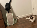 兽牌拱桥剑麻猫抓板不掉屑立式猫爬架猫磨爪猫玩具猫窝冬季保暖带垫子 薄荷绿【清新简约色】 实拍图