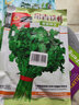 凤鸣雅世四季室内阳台种菜农家蔬菜种孑基地种植常青铁杆香菜种子100克 实拍图