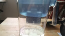 飞利浦（PHILIPS）净水壶 滤水壶 家用净水器 厨房自来水过滤器 滤水器 过滤器滤芯 便携净水杯 AWP2814蓝色/白色 专家版蓝色【1壶13芯】 实拍图