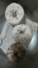 美外蘑菇菌包家庭种植食用菌棒蘑菇种植包食用平菇菌种 榆黄菇白平菇姬菇各1 礼盒装 晒单实拍图