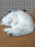 皇家猫粮 幼猫猫粮 幼猫奶糕 K36 通用粮 4-12月 4.5KG 实拍图