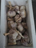 中鲜生云南大蒜2025年紫皮干大蒜头 农家自种新鲜蔬菜 25年新干蒜 3斤 中果 实拍图