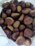 丹东新鲜生板栗野生大板栗现摘新货糖炒油栗毛板栗仁锥栗子整箱 精选装5斤【净重4-4.5斤】 实拍图