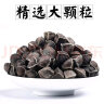 修年堂 辣木籽200g 精选大颗粒饱满大果辣木子茶黑壳白果仁辣木籽 实拍图