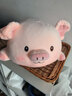 捉趣（ZHUOQU）小猪公仔可爱创意毛绒玩具玩偶陪睡抱枕靠垫娃娃玩偶女生生日礼物 BOBO猪呆萌款 40cm 实拍图