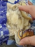 七冰东 蛏子肉 去壳蛏子王肉超大竹蛏子新鲜竹节蛏子鲜活现剥生鲜 贝类 蛏王肉 1500g 500g/袋 实拍图