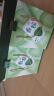 阳茗一世粽子礼盒6味6粽全素粽甜粽900g 含蜜枣豆沙粽 端午节福利 香粽 晒单实拍图