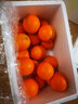 俏背篓 秭归中华红血橙薄皮多汁味甜现摘新鲜水果当季橙子爆汁 5斤中果礼盒装 实拍图