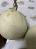千园九味山东冰淇淋玉菇甜瓜新鲜水果当季玉菇冰淇淋翡翠香蜜甜瓜整箱 净重4.5斤【2-3个装】 实拍图